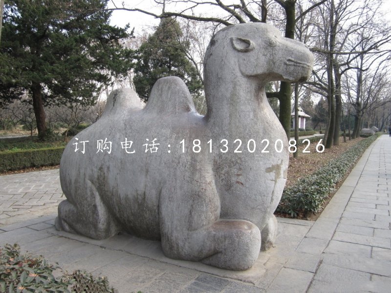 臥著的駱駝雕塑，公園動(dòng)物石雕