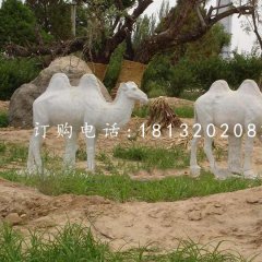 駱駝石雕 動物石雕 公園景觀雕塑